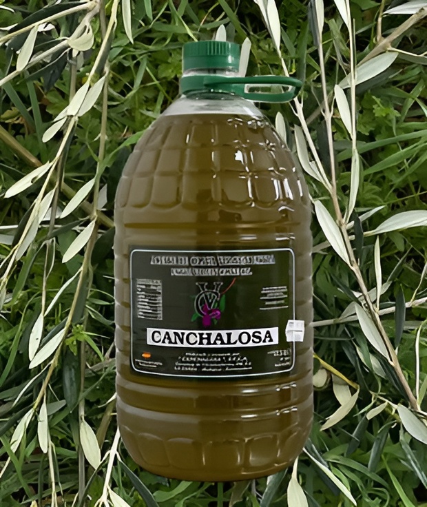 httpscooperativacanchal wixsite edited(1)